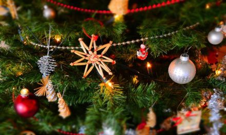 The Origin of Christmas Trees